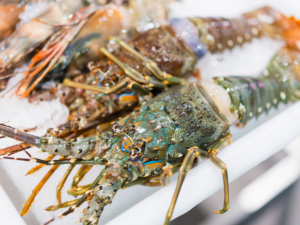 Siêu thị hải sản lớn