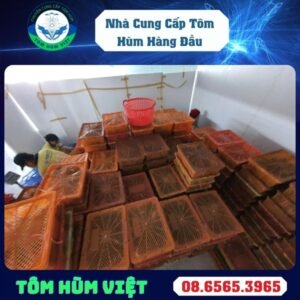 TÔM HÙM ĐÔNG LẠNH SIZE 200