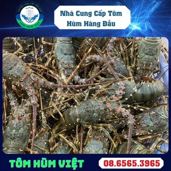 kiotviet_22e7b81fdf4cbcda606184c979ea9c92