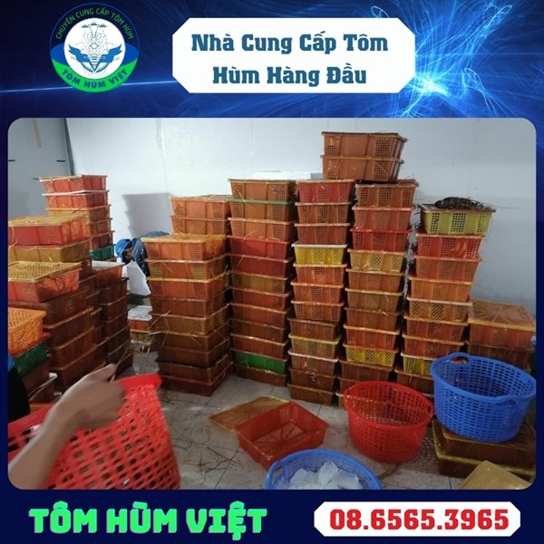 kiotviet_5a53a9b4b420d5d8722a2f05c4f71129