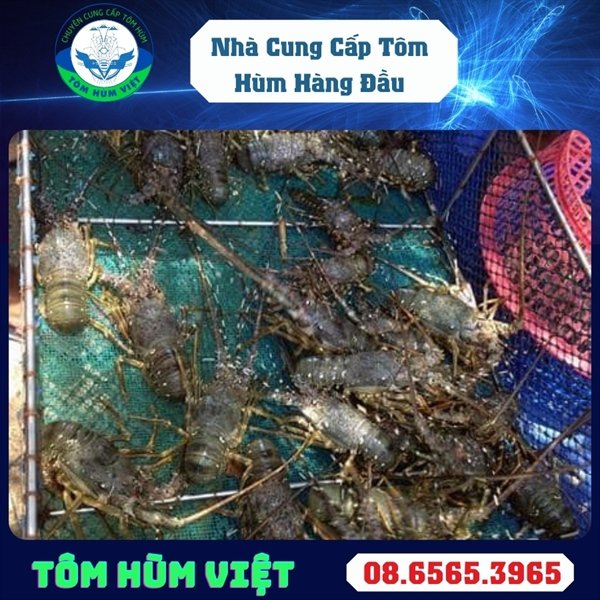 kiotviet_632d43b163c6e2517408559f84865034