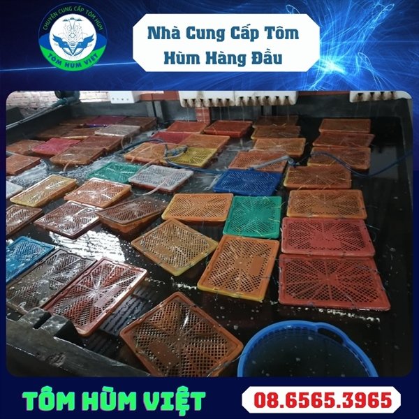 kiotviet_a67aa76fc18bb3ae641697fd0270b47f