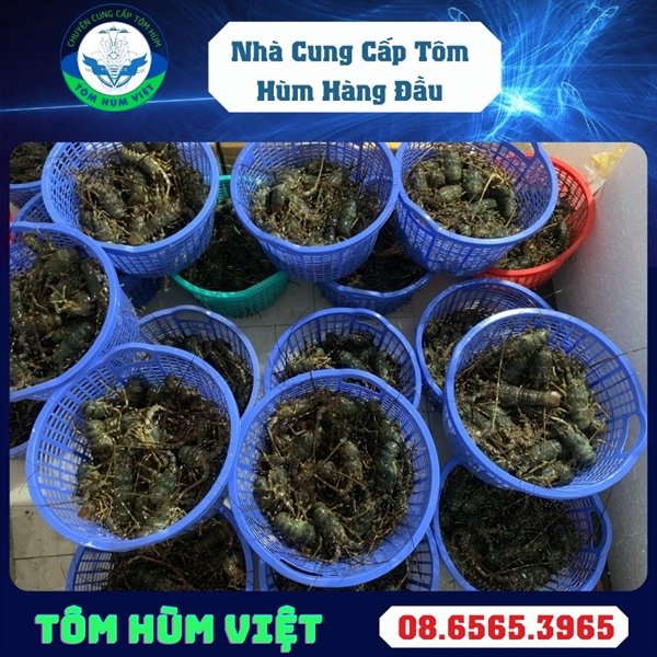 kiotviet_de808b3c3fc6a234c6e9f3c0d083d4dc