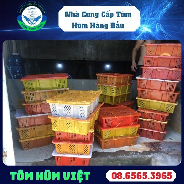 kiotviet_901da583743a64ef5464e14297bc79df