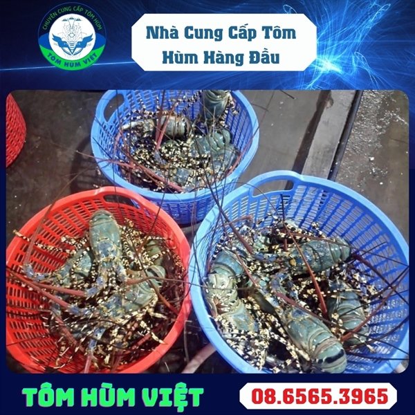 kiotviet_fa0e91de11cc5a6756ef57ef9127e2cb