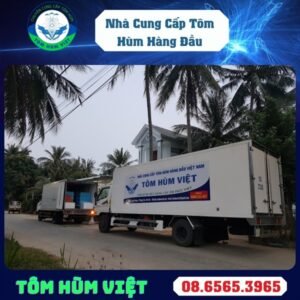 TÔM HÙM BÔNG SỐNG SIZE 300-500 GR/CON