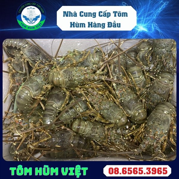 kiotviet_b5790b2920db22127f59d286f475b474