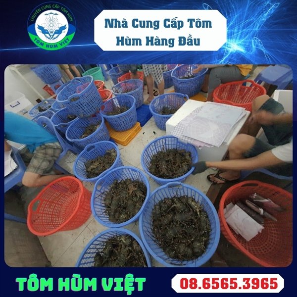 kiotviet_86df292f7256ba6d5334c8afa737966c