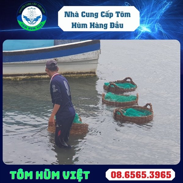 kiotviet_9cb6eef3357d17ccdb4f10c5c2322704