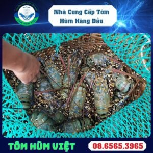 TÔM HÙM BÔNG SỐNG SIZE 1200-1300 GR/CON