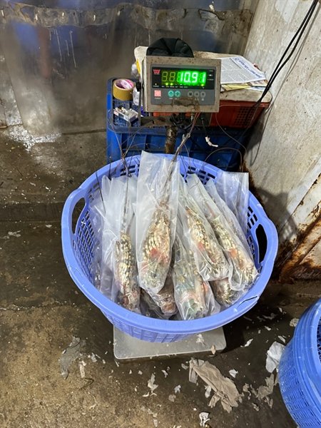 kiotviet_a5e701c338fe00c64948d135a6e3ebab