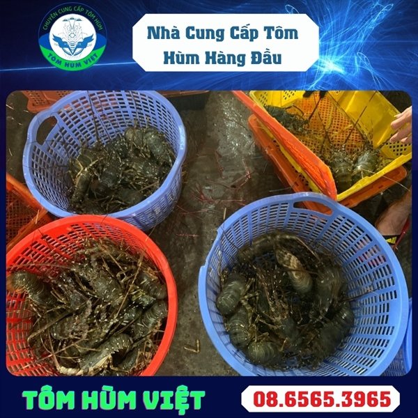 kiotviet_8cda1ac6ac619a95053e3e83a71596b8