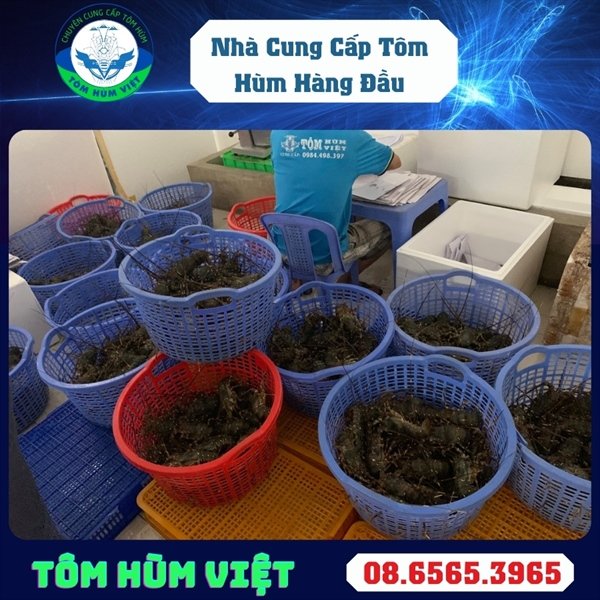 kiotviet_9d599b036de5e373e5b84a5c1f8897e6