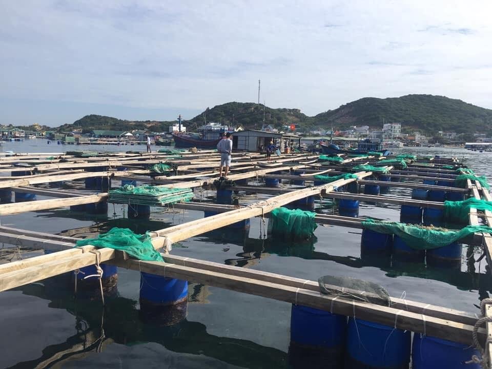 Trang Trại Tôm Hùm