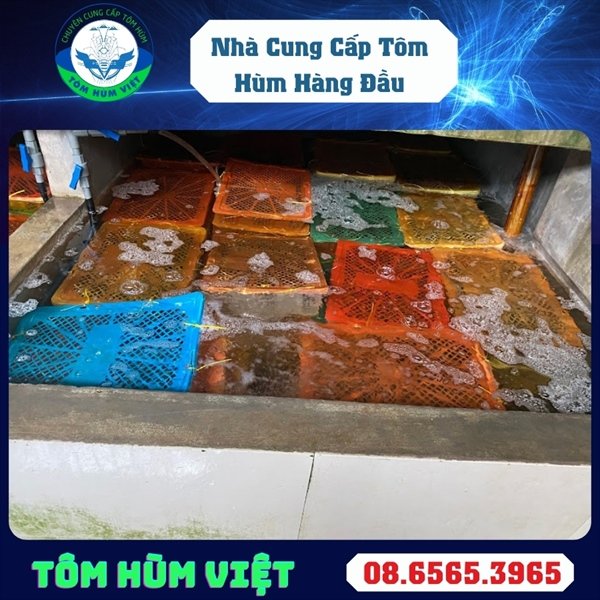 kiotviet_2c4096809a9e749dc3a74f4d9f879535