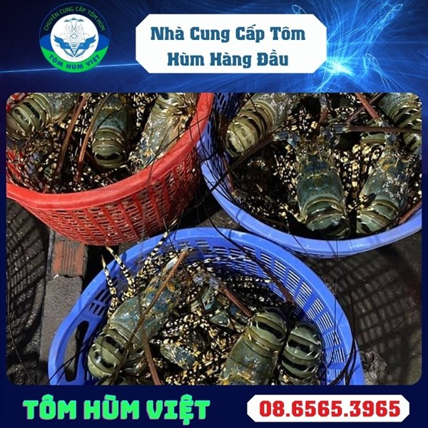 tom-hum-dong-lanh