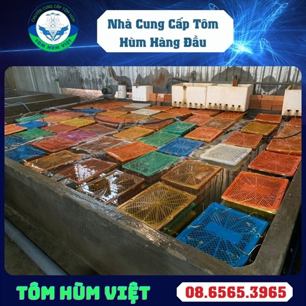 kiotviet_428eb9e9089c1b9c27bebc2db6a8adc7