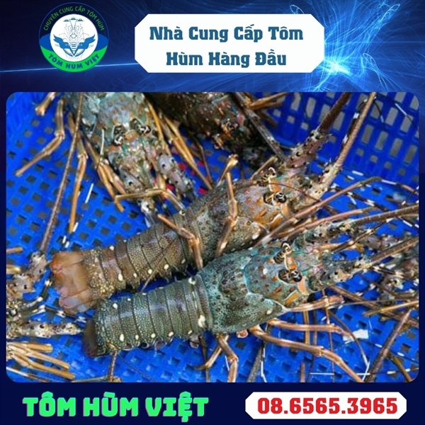 kiotviet_478cc70c5730d0b87da2bd176a015cf5