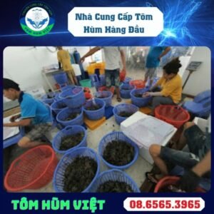 duoi-tom-hum-dong-lanh