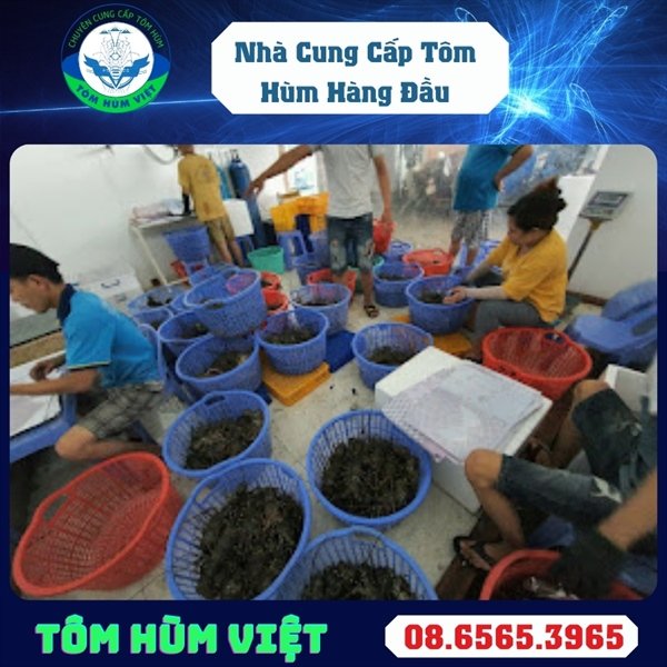duoi-tom-hum-dong-lanh