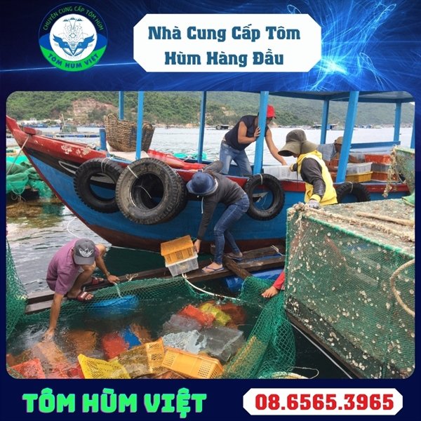 kiotviet_d3ddece0a64868ff0ec3281100295655