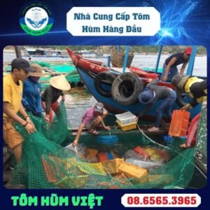 TÔM HÙM BÔNG SỐNG SIZE 1000-1200 GR/CON