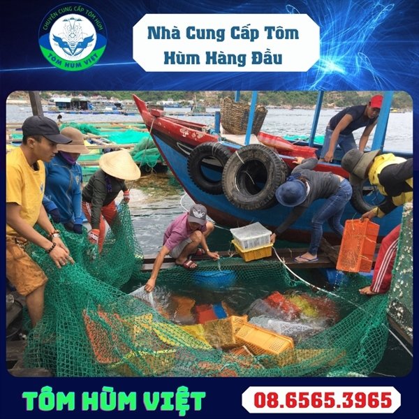 tom-hum-dong-lanh