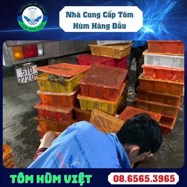 kiotviet_57695a147b5f45b1ab3a25040704e35b