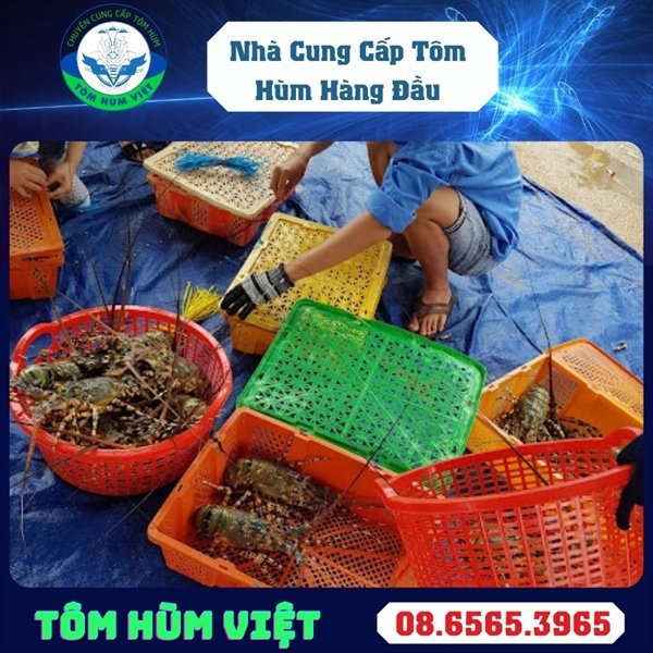 kiotviet_63952b4347023d4ae519fa45217a8e5d