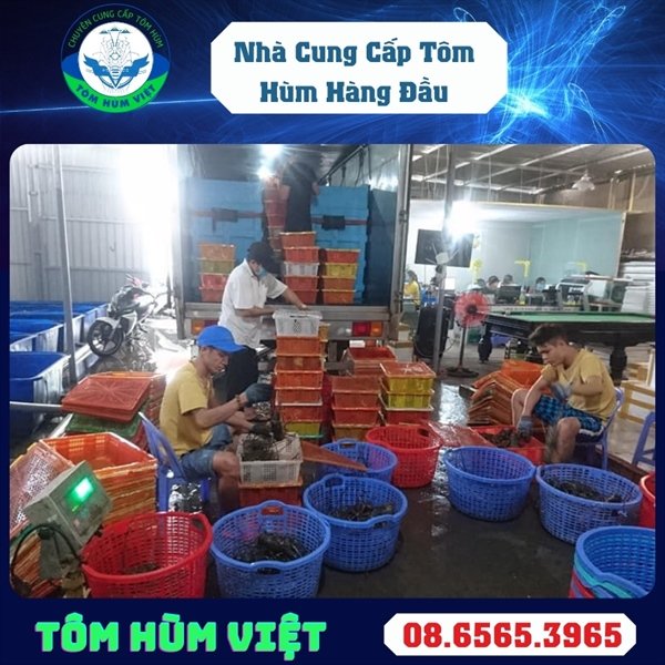 kiotviet_65e200cddb76490ed94999ebaa9b261b