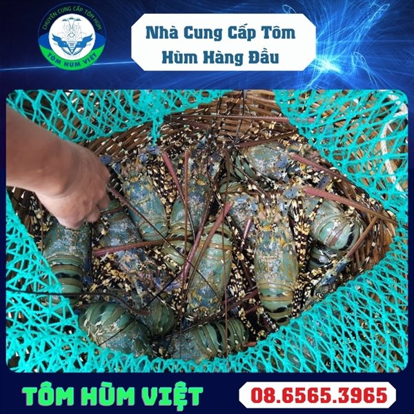 kiotviet_840418859ebd4790889b5cbb9e8d23ff