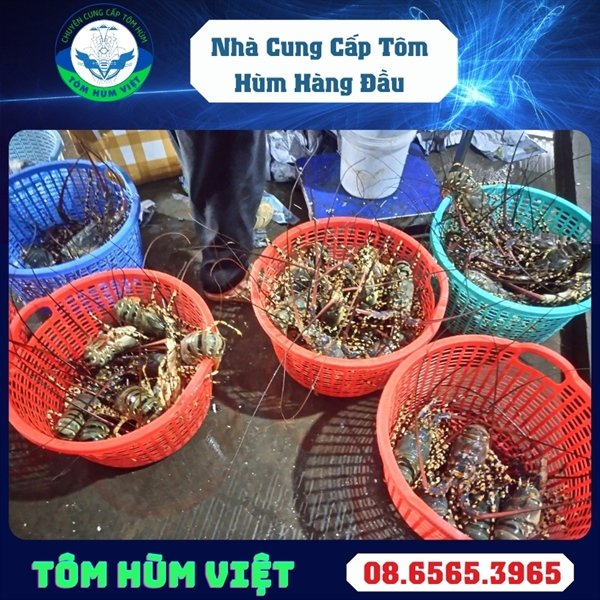 kiotviet_ddad291702a5139eccc917c7916d6542