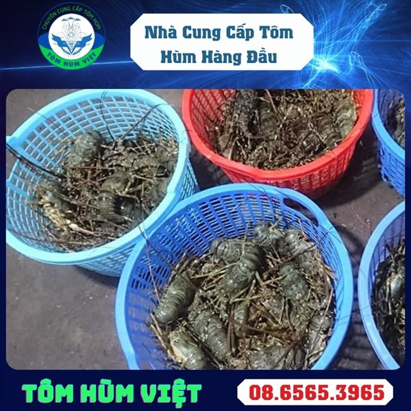 kiotviet_f21b21f74b4cff8b7065754c825e4530